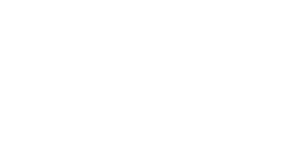 BWL
