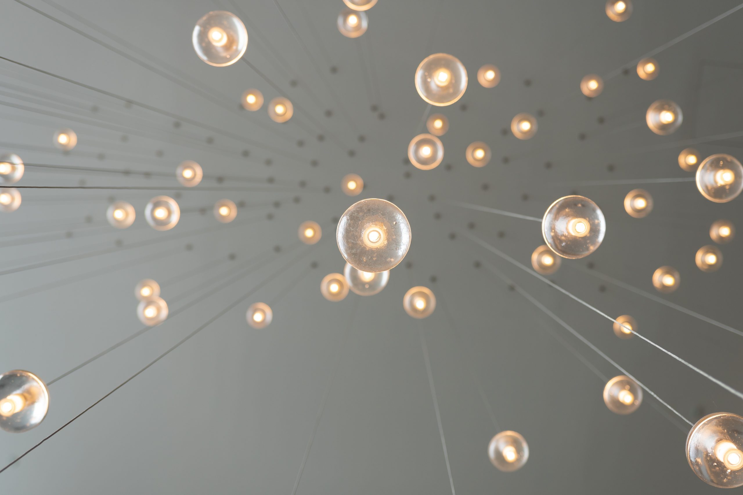 image of lightbulbs representing innovation